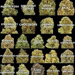 I got something to say