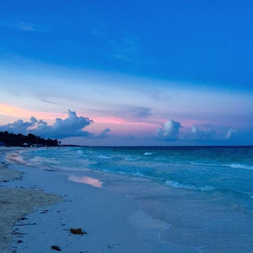 Yoga + Music by Eva Kaczor & Kris Berle @NomadeTulum January 2017