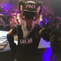 Tekfox - MFF 2016