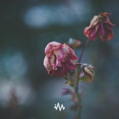 Open Ocean - Forget