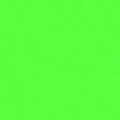 FOOL WIT IT FREESTYLE (prod. by Cam O'bi)