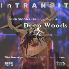 One year at TBA Brooklyn - Deep Woods Live