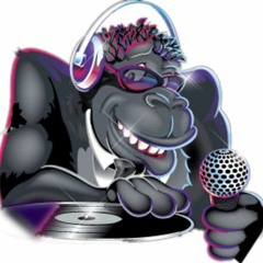 = SET MIXADO DO BAILE DO MACACO [ MIXAGEM AO VIVO DJ DN ] TAMBOR RLK  [ FIM DE ANO ] 2016