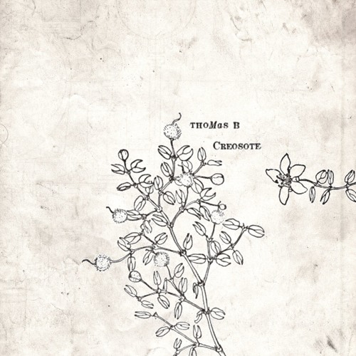 Thomas B - Side Walks