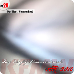 2016 #20: Der Klient - Common Reed