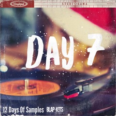 12 Days Of Samples - DAY 7 DEMO