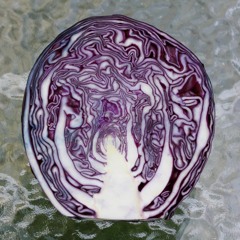 Episode 723 - Red cabbage microgreens?