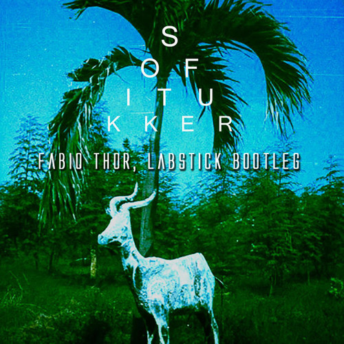 SOFI TUKKER  - Drinkee (Fabio THOR, Reborn Bootleg)FREE DOWNLOAD