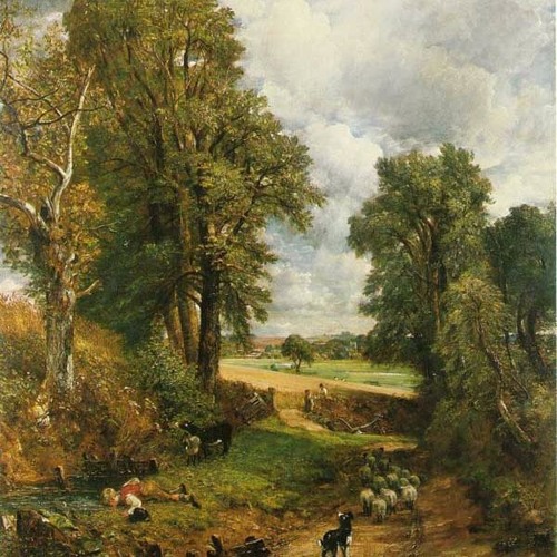The Cornfield