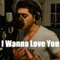 Akon - I wanna love you (cover / remix)