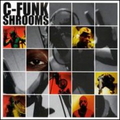 C-Funk - What Ya Gonna Do
