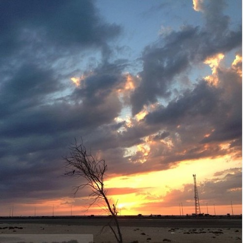 إذا أردت الإستعمال(حتى إذا أقلت سحابا ثقالا سقناه لبلد ميت)_د.أحمد عبد المنعم