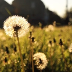 This Is Love - Eric Chou (周興哲) cover w/ Daniel Chen