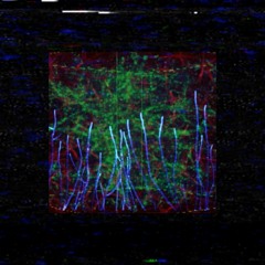 Timelapse - N3TW0RK - w/ Terse Talk