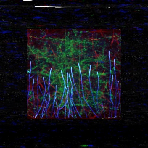 Timelapse - N3TW0RK - w/ Terse Talk