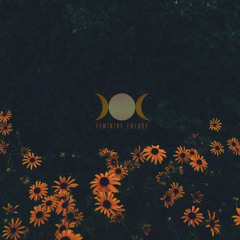 Summer Daze -(Intro Meditation ) Ft. Naomi The Goddess