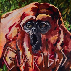 Aqui Agora - Guaribas