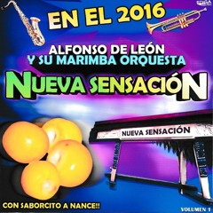 01. Nortirrollo No. 1  - Marimba Orquesta Alfonso De León Y Su Nueva Sensación