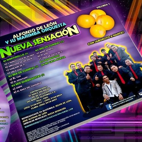 04. Mix De Cumbias #2 - Marimba Orquesta Alfonso De León Y Su Nueva Sensación