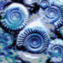 FOSSILS