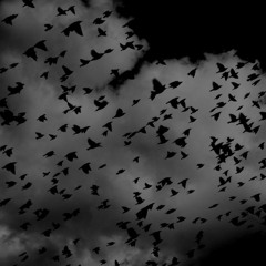 Body Darkness Visualization for honouring the darkness