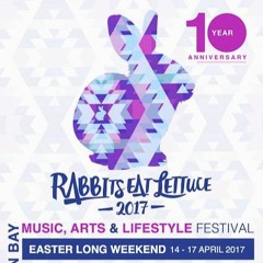Rabbits Eat Lettuce 2017