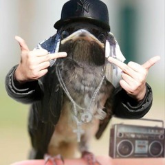 Fly Way (boomahay kick back mix)