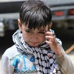 بكا فلسطين