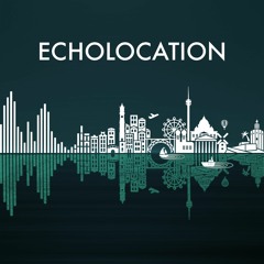 Echolocation: Oslo (excerpt)