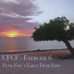 CFCF - Exercise 6 (Funk Fox's Early Dusk Edit)