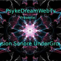 Turtle SPANK - Electro Tek Mix @ Psykedream Web TV 08_11_16