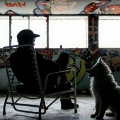 MisterMarket - 'Progresión a la locura'