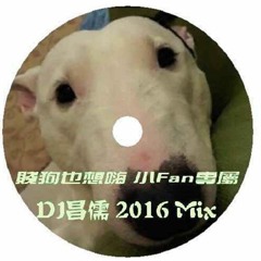 【賤狗也想嗨】 小Fan 專屬  Dj昌儒 Mix