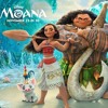 Auli'i Cravalho - How Far I'll Go (Ost. Moana) live cover