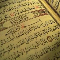 سورة المائدة - الشيخ توفيق الصائغ