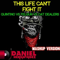 Quintino Vs Felguk Vs Cat Dealers - This Life Can't Fight It (Daniel Hernandez Mashup)