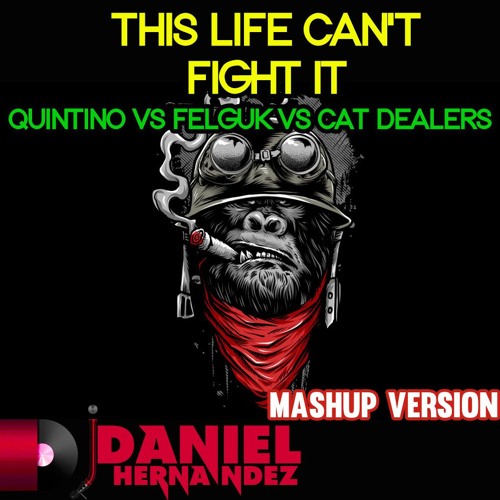 Quintino Vs Felguk Vs Cat Dealers - This Life Can't Fight It (Daniel Hernandez Mashup)