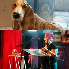 Jen and the doggy doorstopper
