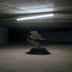 Steve Stix - Kurz vor zwischen den Jahren