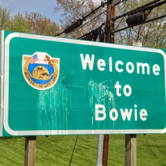 Bowie (Prod. Nineteen94)