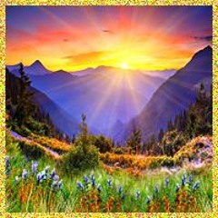 It's A Beautiful Morning