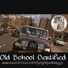 THE DAILY MIX SHOW VOL 13 - OLD SCHOOL CERTIFIED (NEW JACK 80'S & 90'S)
