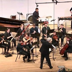 Illegal Cycles (Chamber Orchestra)