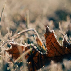 Drive the Cold Winter Away