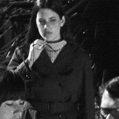 THA SILVER BACK GORILLA