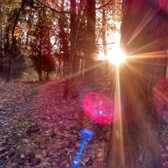 Andy Hull/Robert McDowell cover: A Better Way