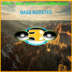 ARYAY - Never Gonna Leave {DNMO Remix} [BASS BOOSTED] (Free Download)