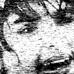 frisoane bulgărești