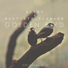 Baptiste Flamand & Alexy - Golden Bird