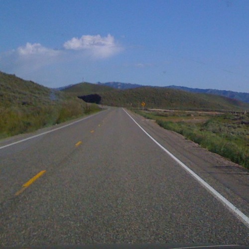 Driving Dreams - with Diana Ohmann (Retro/Folk Song)